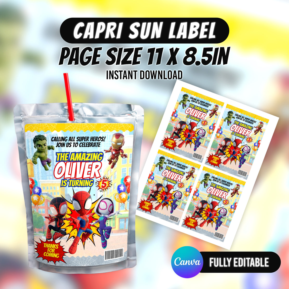 Spider Superhero Birthday Party Favor Bundle 10 Party Favor Items