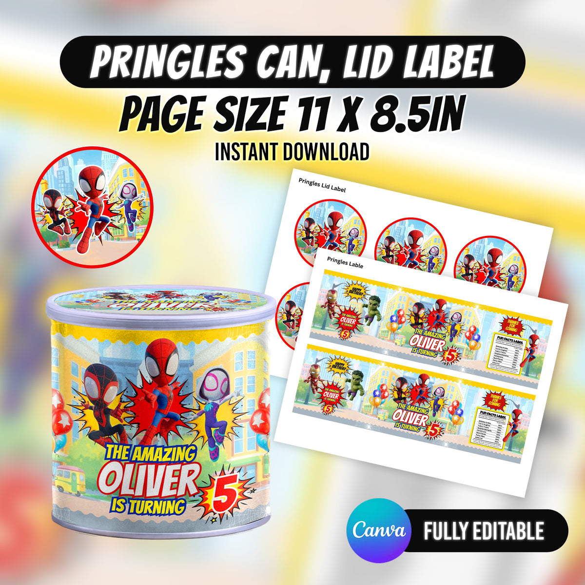 Spider Superhero Birthday Party Favor Bundle 10 Party Favor Items
