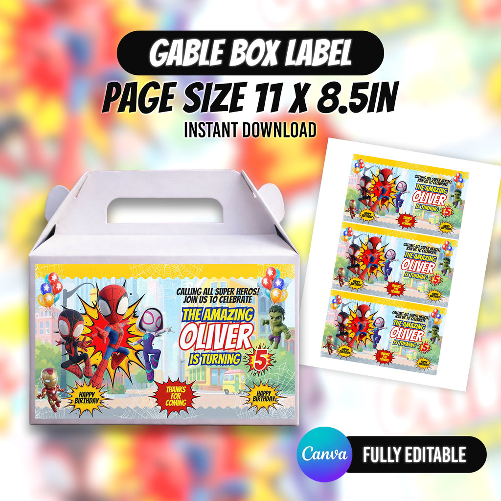 Spider Superhero Birthday Party Favor Bundle 10 Party Favor Items